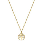 BHKN094 CHAKRA 
