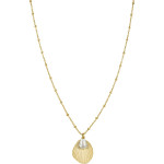 JSPNG-J159 Shell and pearl 