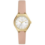 BQ3804 EEVIE 
