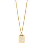 JCNL03023200 Aurea 