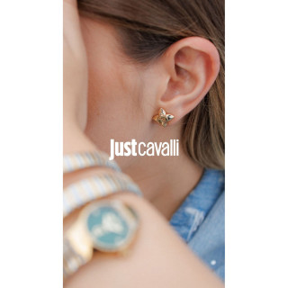 JCER02503200 Rosa 