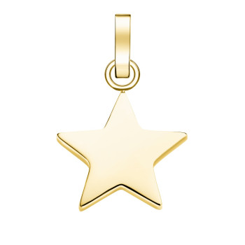 PE-Gold-Star 