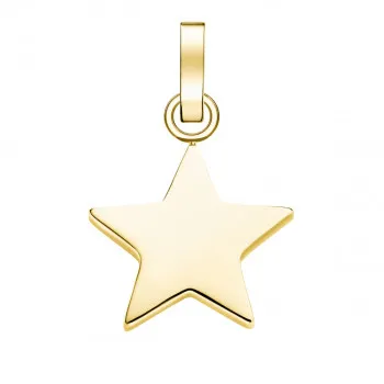 PE-Gold-Star 
