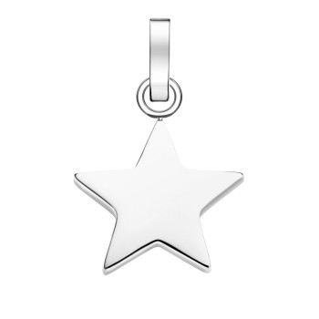 PE-Silver-Star 