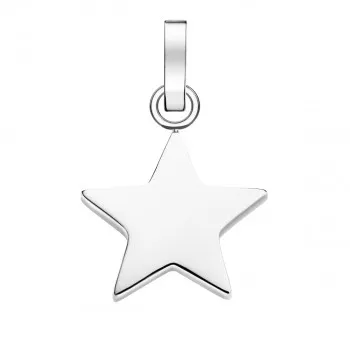 PE-Silver-Star 