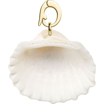 PE-Gold-Cockle 