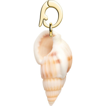 PE-Gold-Tulip Shell-Beige 