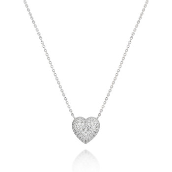 J19AXD31 SILVER COLL. 