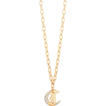JCNL02373200 Brio 