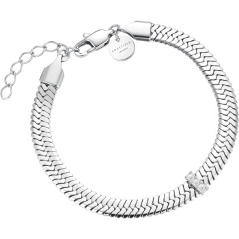 JBSCS-J1192 Snake Evolution 