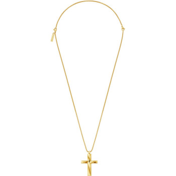 PEAGN0081705 CONTORTO 