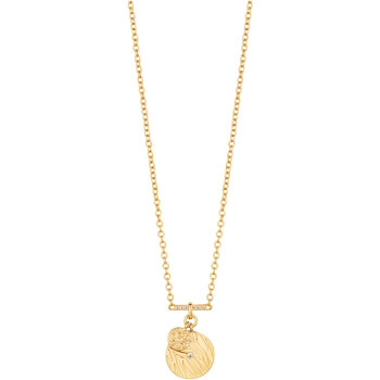 JCNL03003200 Oliva 
