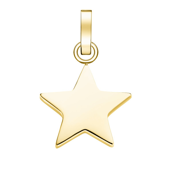 PE-Gold-Star 