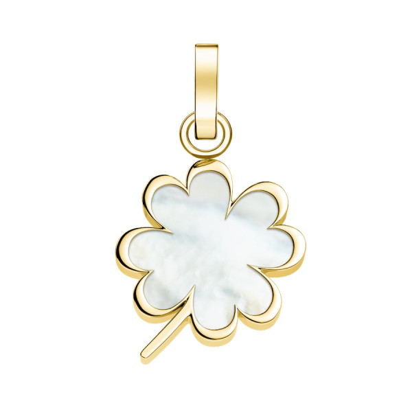 PE-Gold-Clover 