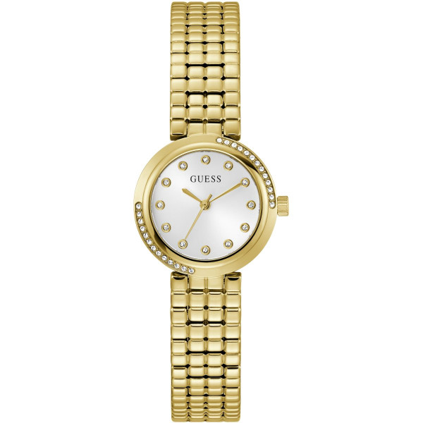 GW0930L2 CLARA 