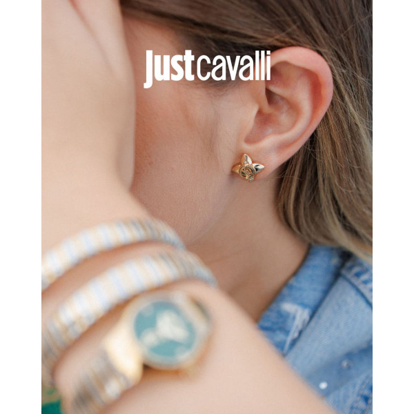 JCER02503200 Rosa 