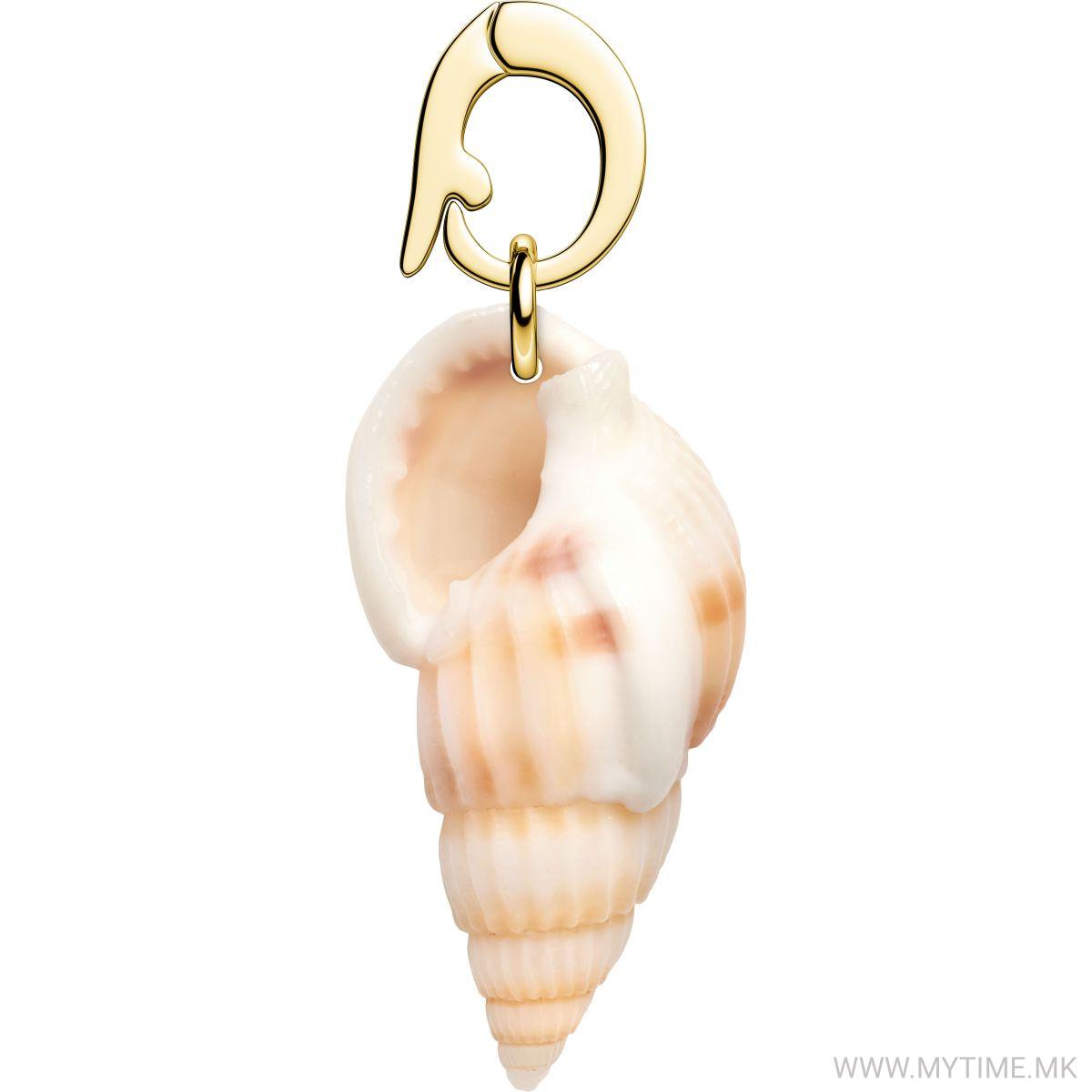 PE-Gold-Tulip Shell-Beige 