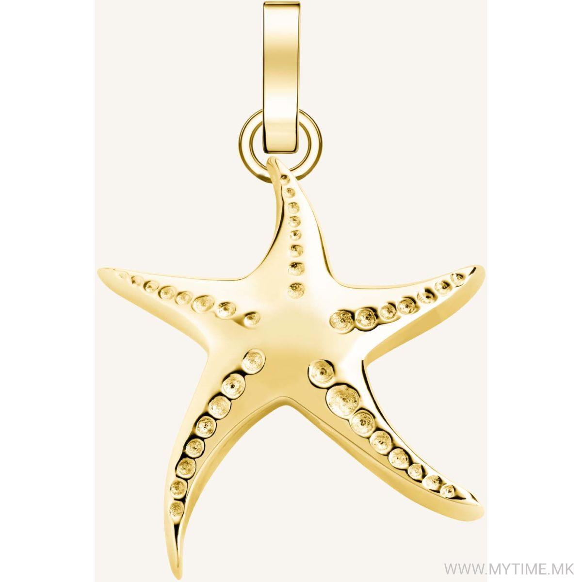 PE-Gold-Seastar 