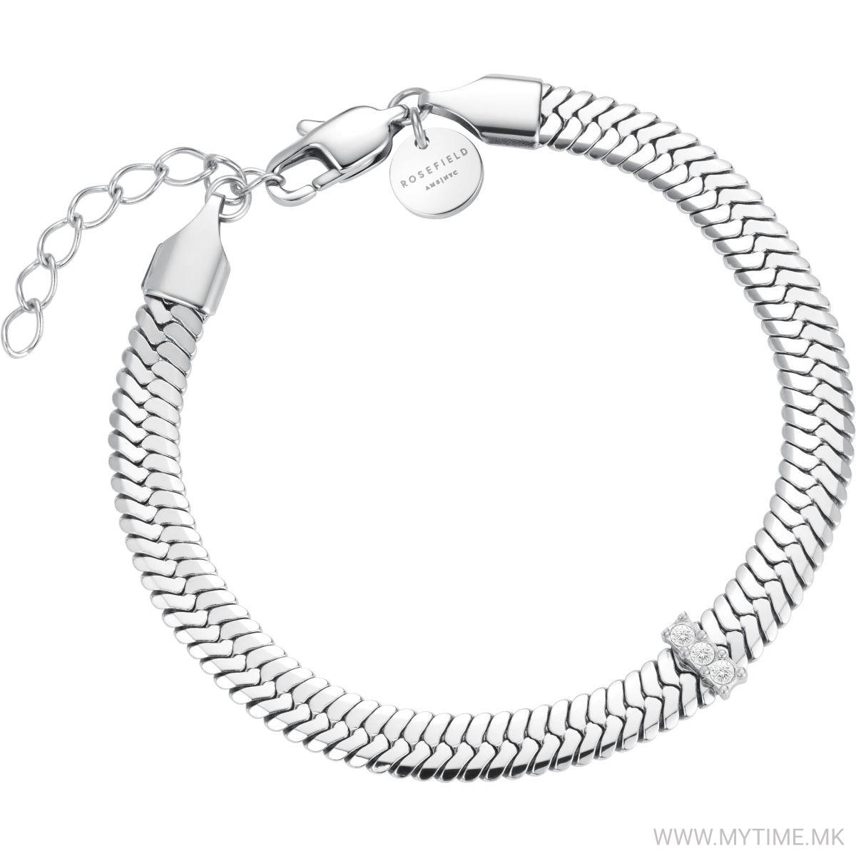 JBSCS-J1192 Snake Evolution 